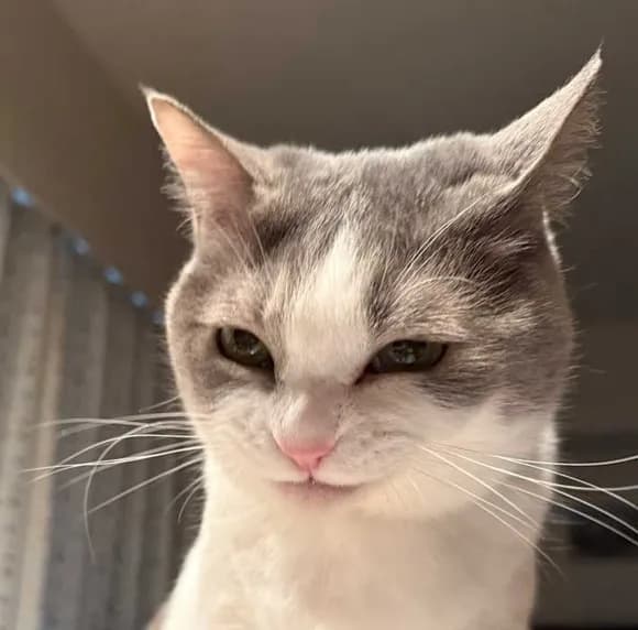 【急募】お前らが人生でした、『1番悪いこと』を挙げてけｗｗｗｗｗｗ