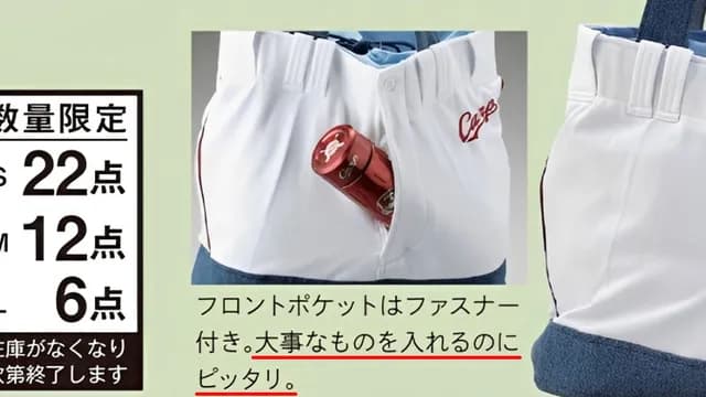 【謎】カープ『パンツリメイクトート』HPから削除。大バズりも削除理由を球団に直撃