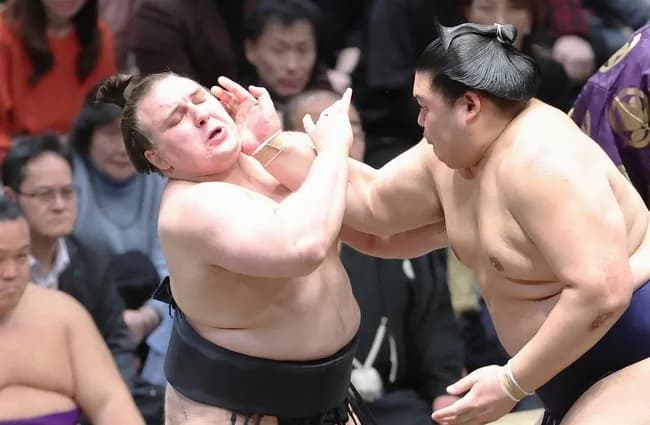 【相撲】初場所14日目　安青錦が大の里に敗れ3敗目...20年ぶり新大関Vへ 熱海富士と3敗で並んで千秋楽へ