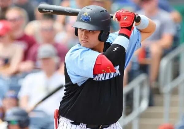 佐々木麟太郎ってメジャーのドラフトから漏れたらソフトバンク入りすんの？