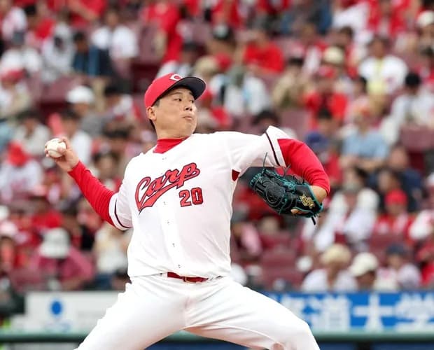 広島の栗林とかいう近年でも稀に見るぐらい酷使されてる投手