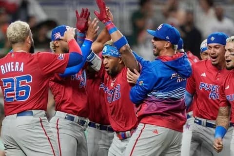 【野球】プエルトリコ代表がWBC出場へ　保険問題で辞退検討も…　会長断言「大会に参加する」