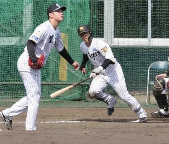 出たぞ！阪神、今キャンプ初シート打撃でドラ2谷端将伍が初打席初安打　門別から左前打