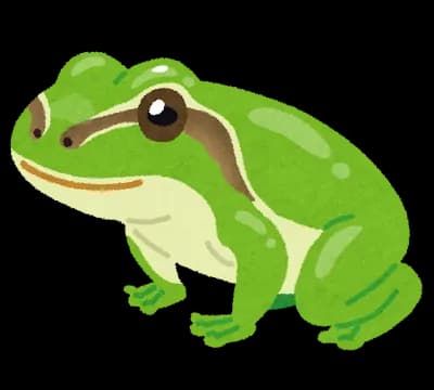 【〓報】ニホンアマガエルの腸内細菌からがん治療細菌を発見