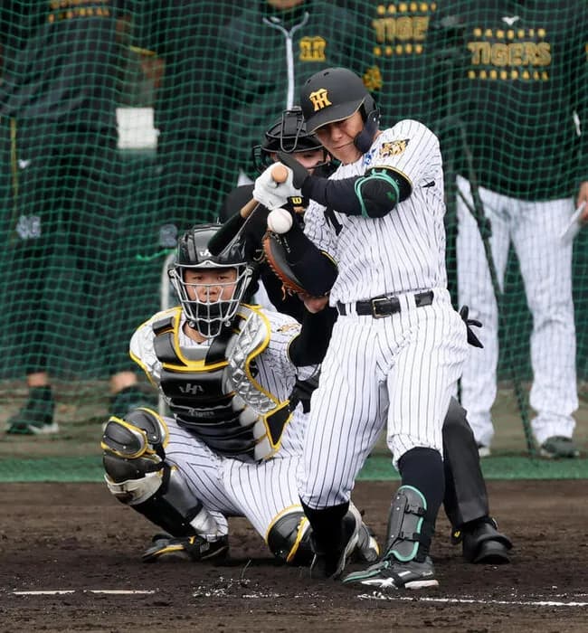 【阪神】豊田寛が右手首骨折で離脱と球団発表　７日のシート打撃で死球
