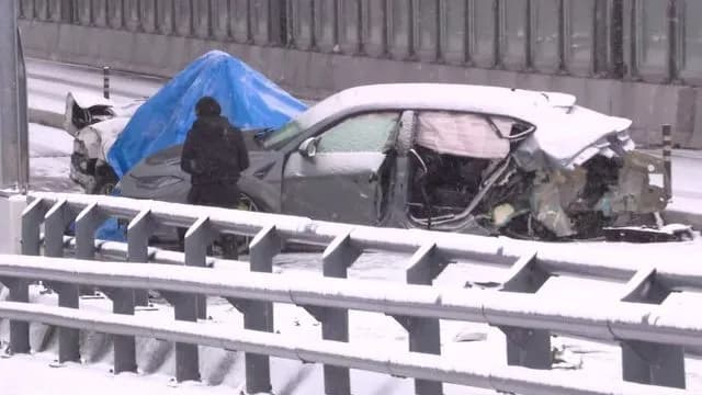 ランボルギーニ“ひき逃げ”事件で中国籍の男（41）を逮捕ｗｗｗ