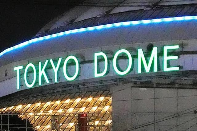 ヤクザさん、巨人戦を観戦して逮捕ｗｗｗｗｗｗ