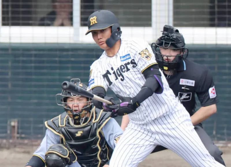 本日の阪神の「紅白戦」の収穫、ほんまにヤバい