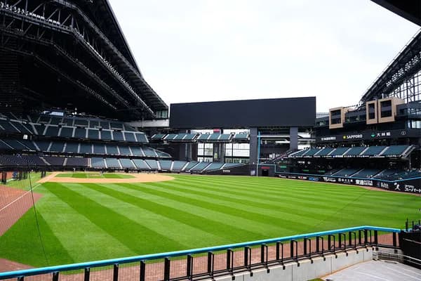 プロ野球はプロスポーツなのでバントと犠牲フライを完全禁止にした方がいいだろ