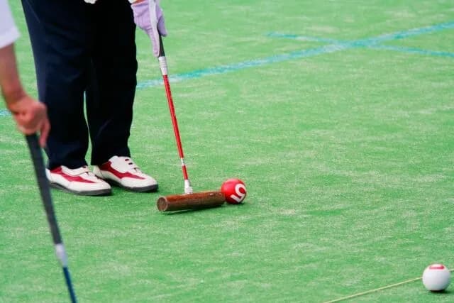 未だにルールがわからない競技🤷‍♀