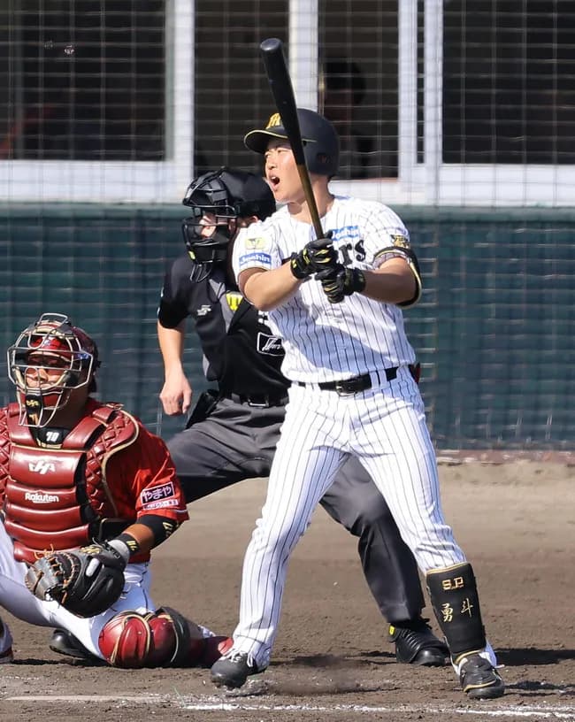 阪神－楽天の練習試合　ファウルボールがカメラマン頭部直撃　救急搬送のアクシデント…　プレー止まり場内騒然