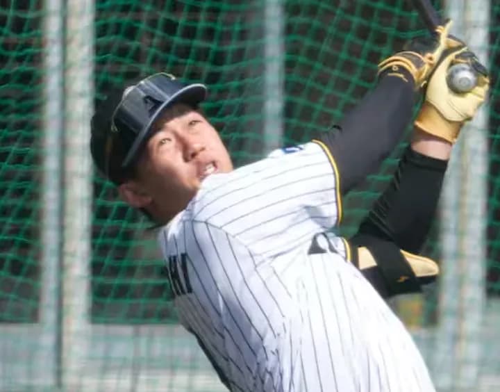 【朗報】立石さん、28スイングで柵越え19本 ｗｗｗｗｗｗ