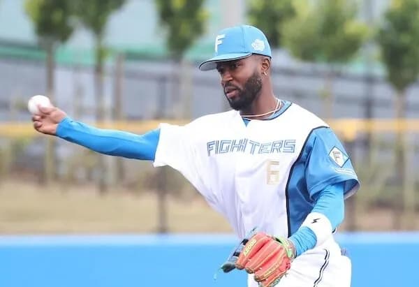 今年のハム打線って滅茶苦茶強そうじゃね？？？