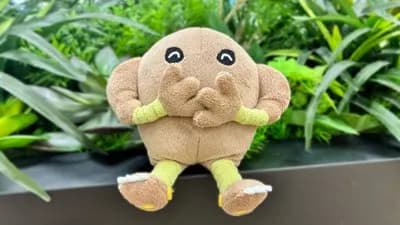 ポケモン公式「サワムラーを可愛くしてください…？」