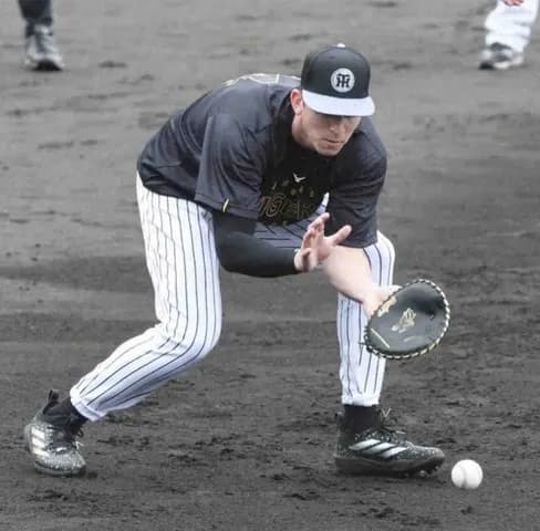 阪神・ディベイニー　雨中の早出特守　小型ミットで逆シングルを封印「基本を大切にしようと」