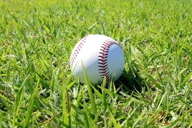 【悲報】日大三高、ネットのデマにブチギレ「事実無根！法的措置を取る！」