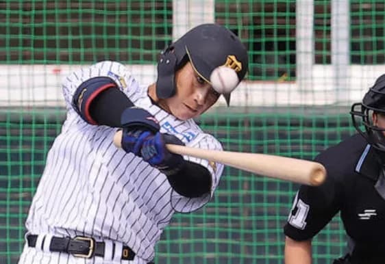 虎ファン『元山が想像以上に良い』『木浪vs元山の1軍争いか』