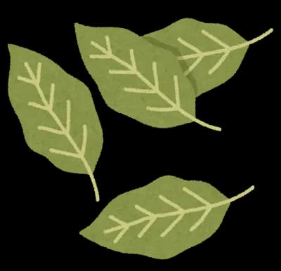 僕、料理にローリエ入れる、「何の効果あるんやろ？」