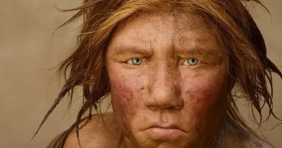 【悲報】ネアンデルタール人←身長165cm、トップアスリートの数倍の筋力と瞬発力