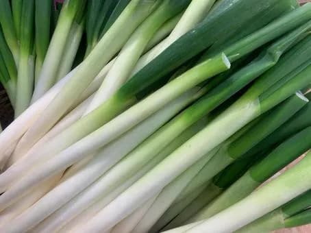 【悲報】「ネギ」がメインの料理、ないｗｗｗｗｗｗｗｗｗｗｗｗｗｗｗｗ