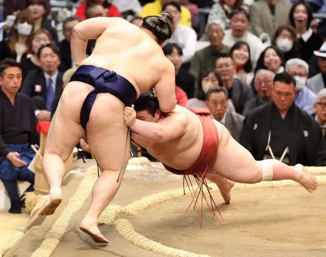 【悲報】横綱大の里さん連敗