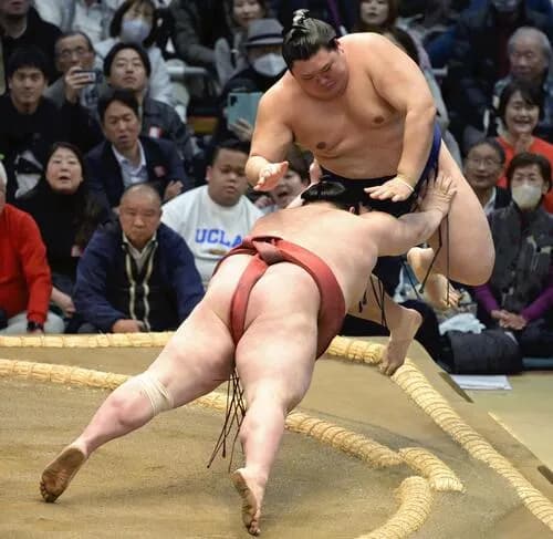 【悲報】横綱大の里さん連敗ｗｗｗｗｗｗｗｗｗｗｗｗ