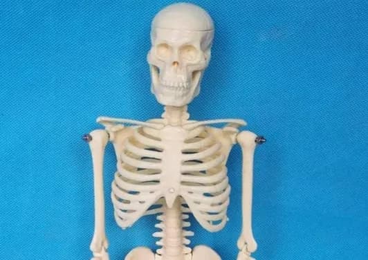 もしデッドボールで骨にヒビが入ったら全治どれくらいなん？