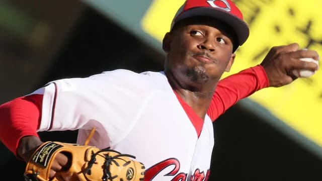 カープがデベルソン・アリア投手と育成契約！ドミニカ出身24歳！背番号132 年俸230万円