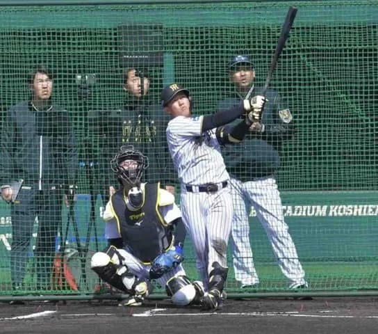 阪神　ドラフト１位・立石正広が衝撃アーチ２発　初ライブＢＰで強烈打球　右へ左へ広角にたたき込む　フリー打撃でも柵越え１０発
