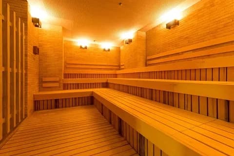 （ヽ´ん`)「日曜日は、都心のターミナル駅前にあるサウナに尽きるな。 」