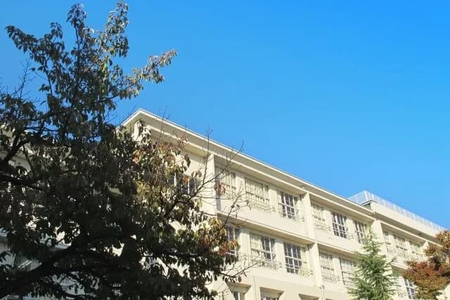 「おいこれ義務教育に加えた方がいいだろ……」ってなった教科ｗｗｗｗｗｗｗｗｗｗｗｗｗｗｗ