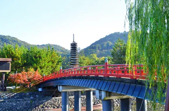 【動画】京都人「宇治は京都ちゃいますやん」