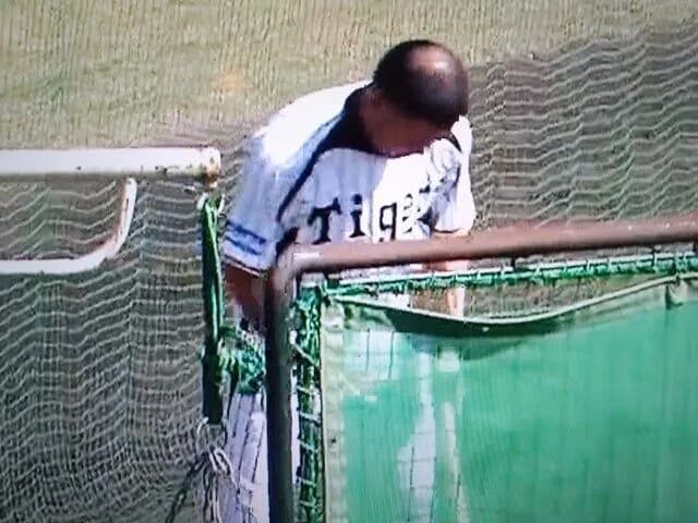 【朗報】福留孝介さん、蘇る