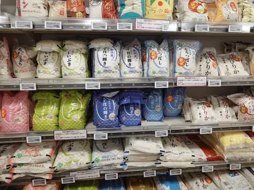 【悲報】住所不定の17歳JKさん、スーパーで米を万引きして追いかけてきた従業員を蹴ってしまうｗｗｗｗｗｗｗｗｗｗ