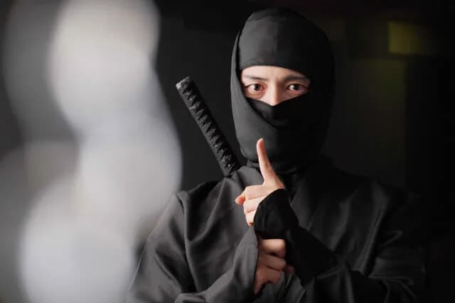 忍者は単なるスパイなのに何で海外に広まったんだ？