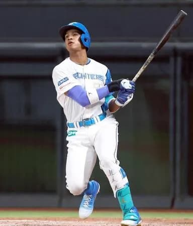 【朗報】北海道日本ハムファイターズ、6試合でホームラン15本ｗｗｗｗｗｗｗｗ