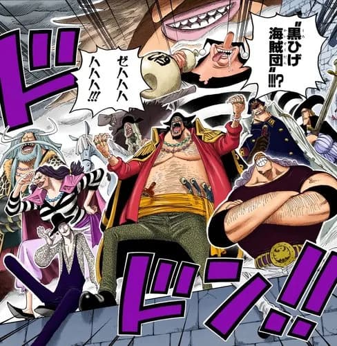 【速報】麦わら海賊団の11人目、とんでもない奴が確定してしまうｗｗｗｗｗｗｗｗｗｗ