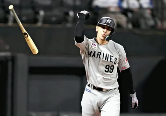 【動画】昨日のN-ソトの3ランホームランｗｗｗｗｗｗｗｗｗｗｗｗ