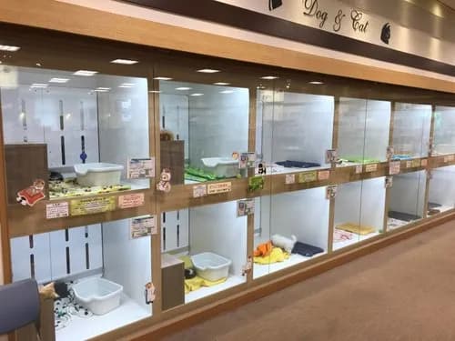 【悲報】ペットショップ店長(67)、従業員を日本刀で脅し懲役30年が確定してしまう・・・・・・・・・