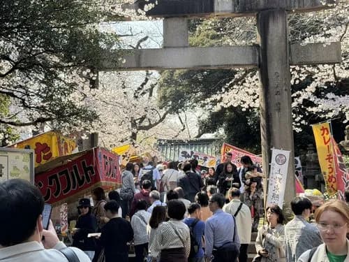 【画像】東京人さん、花見のために上野公園に殺到してしまうｗｗｗｗｗｗｗｗｗｗ