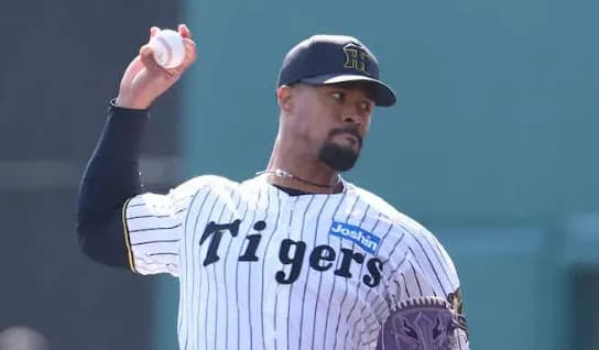 阪神ファン『（デュプは）あれほど横浜に忠告しておいたのに信じてもらえず悲しかった』