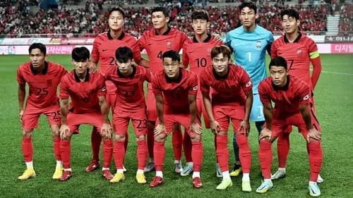 【悲報】韓国さん、サッカー野球バスケバレー全部ボロ負けでスポーツ完全崩壊してしまうｗｗｗｗｗｗｗｗｗｗ
