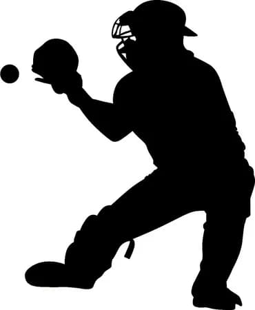 NPBに外国人キャッチャーがいない理由って何？