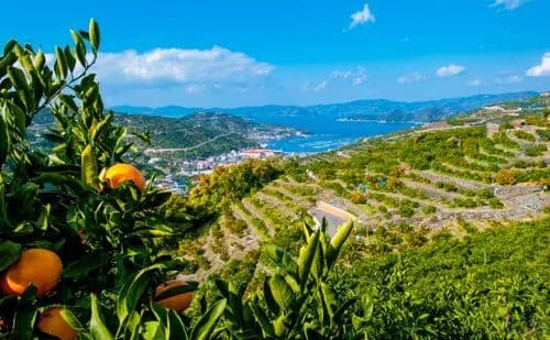 【悲報】愛媛の80代女性さん、詐欺で12億円だまし取られ過去最悪額を更新してしまうｗｗｗｗｗｗｗｗｗｗ