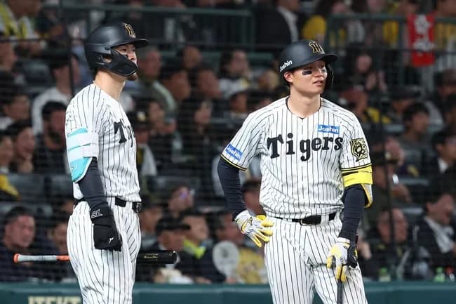 阪神のアイブラック兄弟、限界突破ｗｗｗｗｗｗｗｗｗ