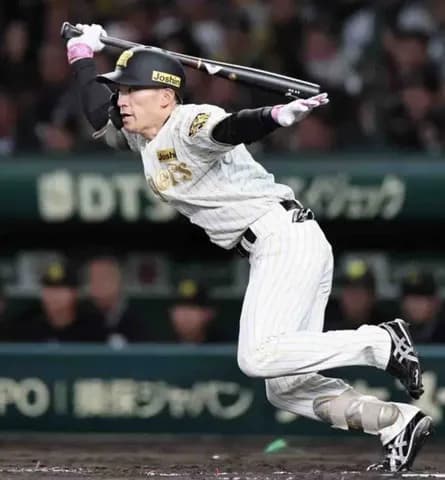 阪神・福島圭音　マルチ安打の甲子園デビュー　「先輩方が頼もしい。僕は思い切ってやるだけ」