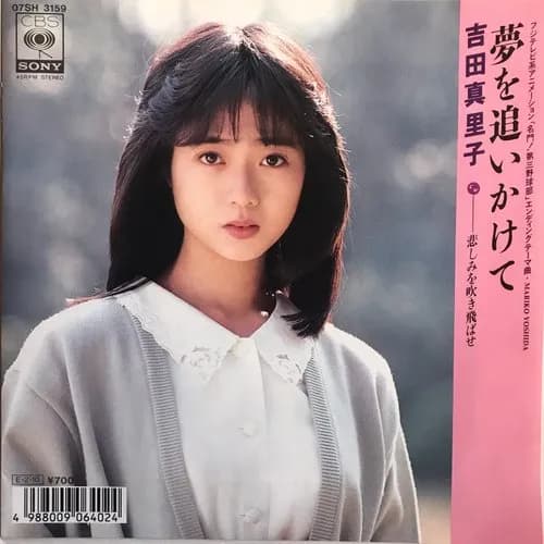 【画像】80年代アイドルさん、芋っぽいかと思いきやガチで可愛すぎるｗｗｗｗｗｗｗｗｗｗ