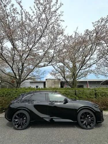 【悲報】新型クラウンさん、ガチで様子がおかしいｗｗｗｗｗｗｗｗｗｗ