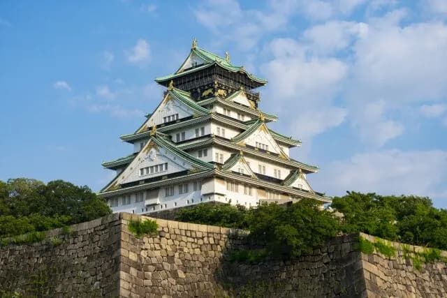 関ヶ原の戦いで東軍に付いた豊臣恩顧の大名は大阪の陣で