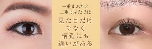 【悲報】Z世代さん「一重に産まれたら人生終わり」ガチで深刻なルッキズムが広がってしまう・・・・・・・・・